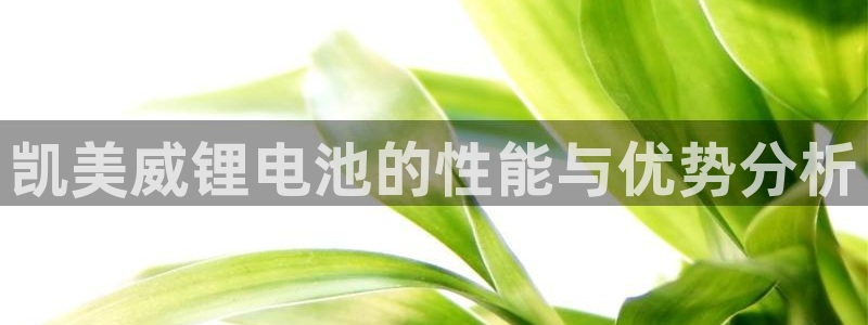 usdt官网钱包
