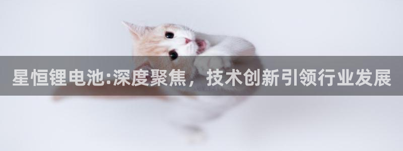 usdt网址查询