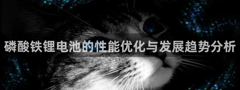 usdt钱包安全吗
