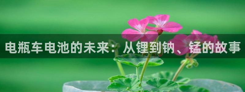 购买usdt