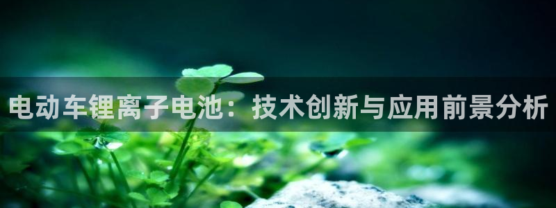 国外usdt钱包