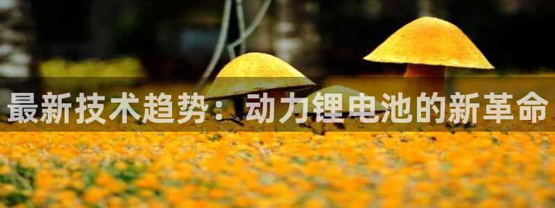 usdtAPP下载