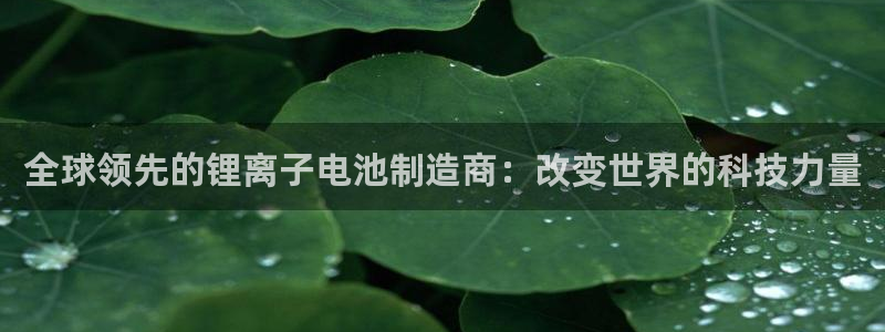 usdt地址可以查到对方的资料吗