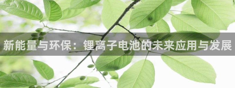 怎么将usdt提现