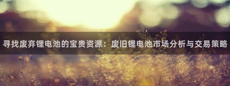 usdt怎么支付