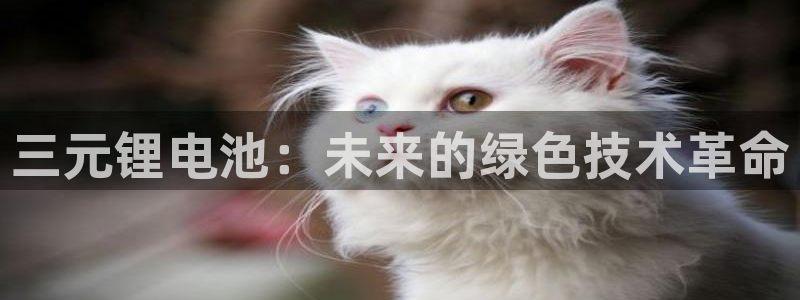 货币usdt收款地址怎么弄