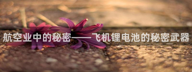 usdt二维码盗窃