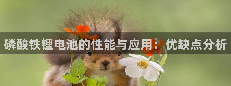 usdt支付平台违法