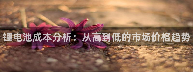 usdt钱包名称
