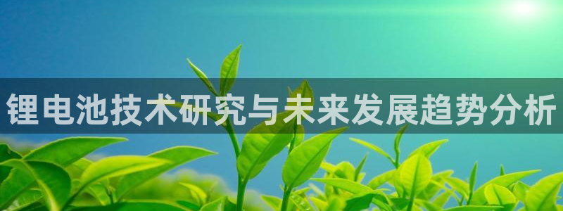 usdt有哪些平台