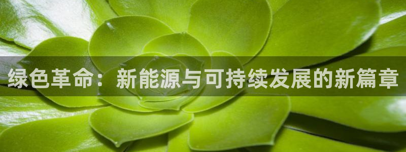 usdt被骗算违法吗：绿色革命：新能源与可持续发展的新篇章