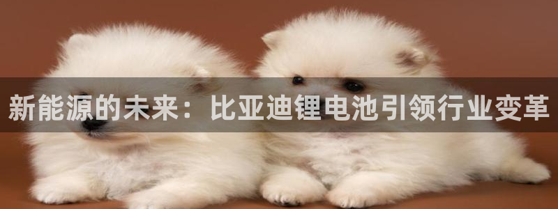 usdt转帐受法律保护吗