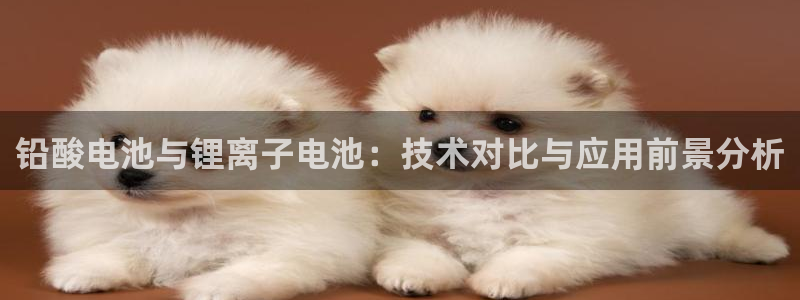 官方usdt钱包app