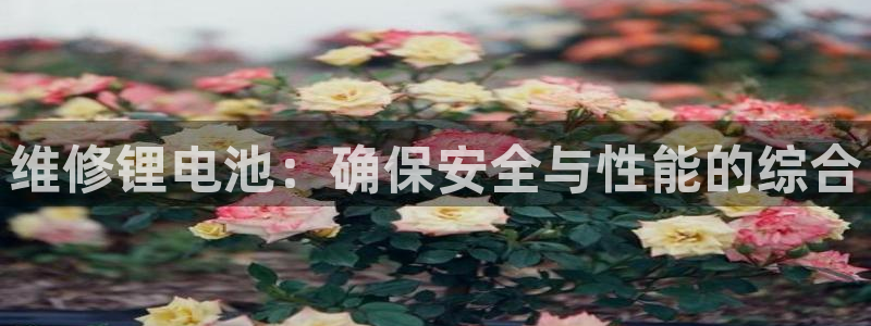 usdt账户怎么注册：维修锂电池：确保安全与性能的综合