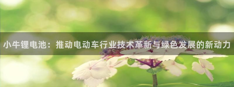 usdt这么提现：小牛锂电池：推动电动车行业技术革新与绿色发展的新动力